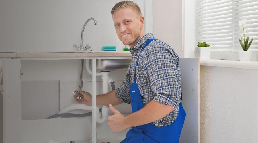 Holiday Plumbing Service in Cecil, PA